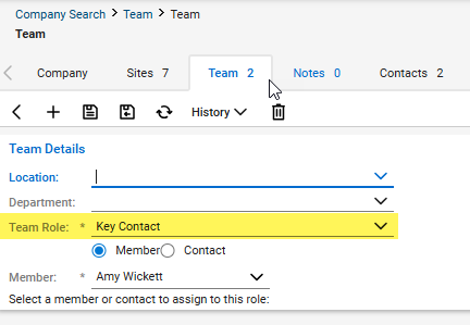 Screenshot from CW of the Team details highlighting the team role field that is required when adding a team member to the company.